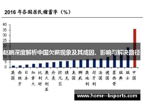 赵鹏深度解析中国欠薪现象及其成因、影响与解决路径