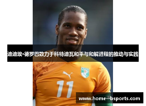 迪迪埃·德罗巴致力于科特迪瓦和平与和解进程的推动与实践 迪迪埃·德罗巴致力于科特迪瓦和平与和解进程的推动与实践