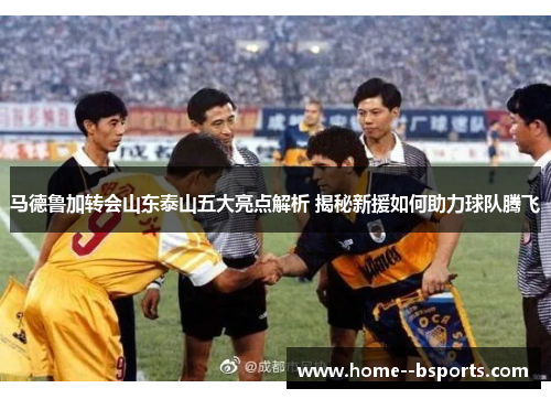 马德鲁加转会山东泰山五大亮点解析 揭秘新援如何助力球队腾飞 马德鲁加转会山东泰山五大亮点解析 揭秘新援如何助力球队腾飞